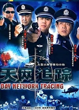 天网追踪海报图片
