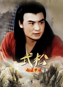 武松祝延平版海报图片