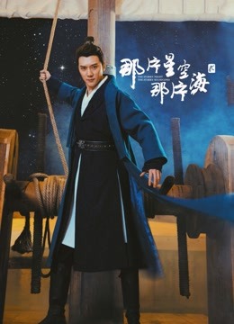那片星空那片海2DVD版海报图片