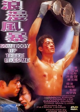 浪漫风暴（1996）封面图