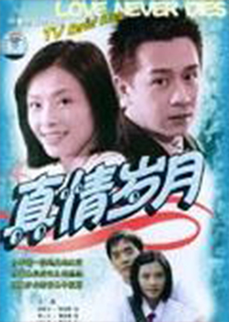 真情岁月海报图片